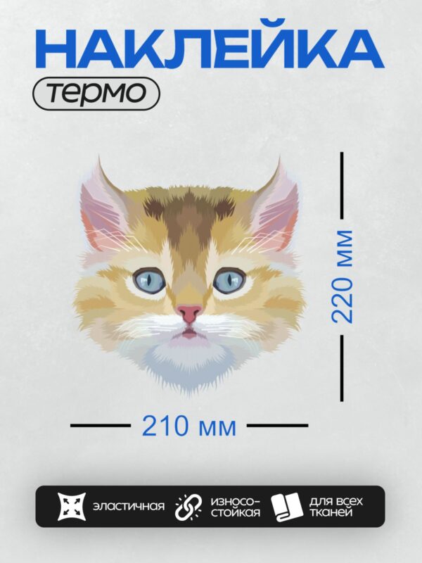 Термонаклейка на одежду DTF / Мультяшный рыжий котёнок с голубыми глазами.