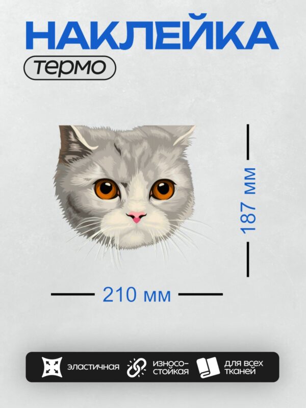 Термонаклейка на одежду DTF / Мультяшная кошка с серой шерстью и оранжевыми глазами.