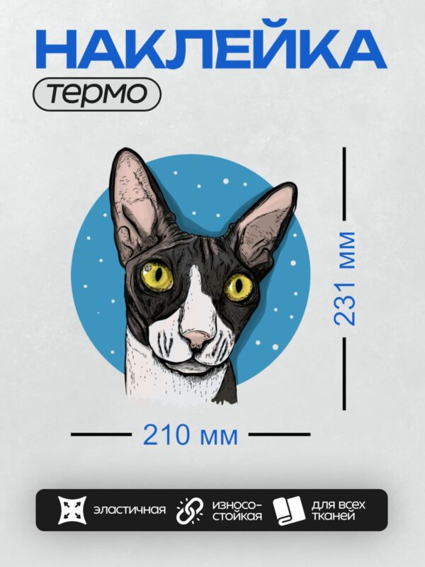 Термонаклейка на одежду DTF / Кошка породы сфинкс с большими жёлтыми глазами.