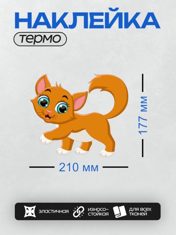 Термонаклейка на одежду DTF / Оранжевый котёнок с большими голубыми глазами.