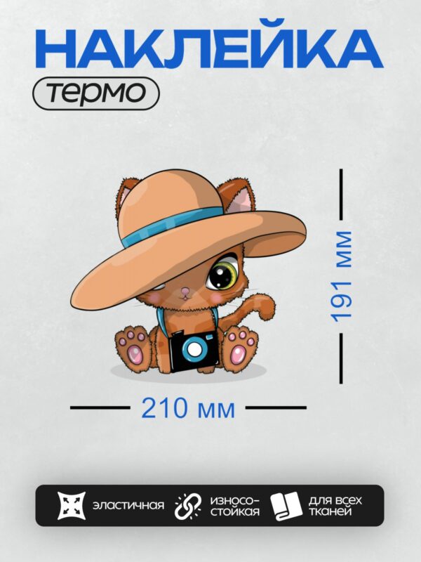 Термонаклейка на одежду DTF / Мультяшный котёнок в шляпе с фотоаппаратом.