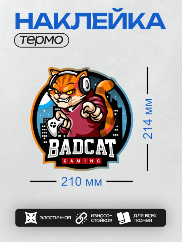 Термонаклейка на одежду DTF / Рыжий кот в наушниках с геймерским стилем.