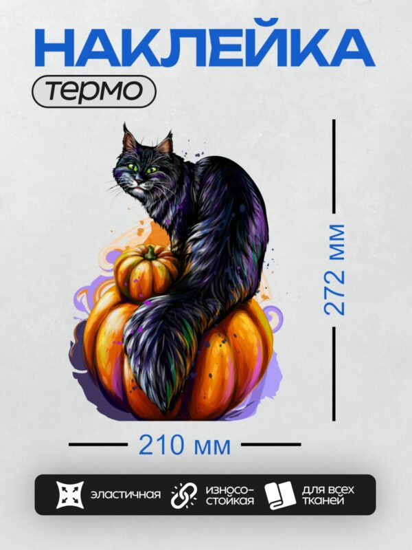Термонаклейка на одежду DTF / Чёрный кот с зелёными глазами на тыквах.