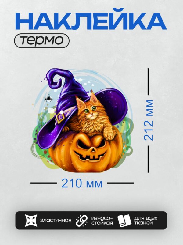 Термонаклейка на одежду DTF / Рыжий котёнок в шляпе ведьмы на тыкве.