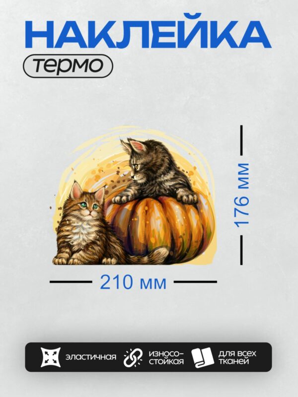 Термонаклейка на одежду DTF / Два котёнка и большая тыква.