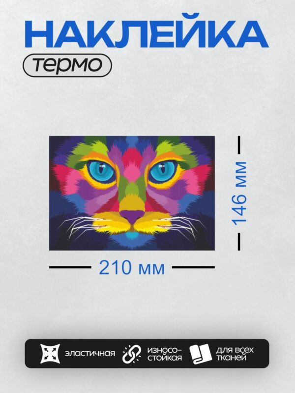 Термонаклейка на одежду DTF / Радужный кот с яркими голубыми глазами.