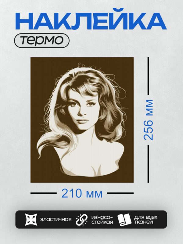 Термонаклейка на одежду DTF / Стилизованный портрет женщины с длинными волосами.