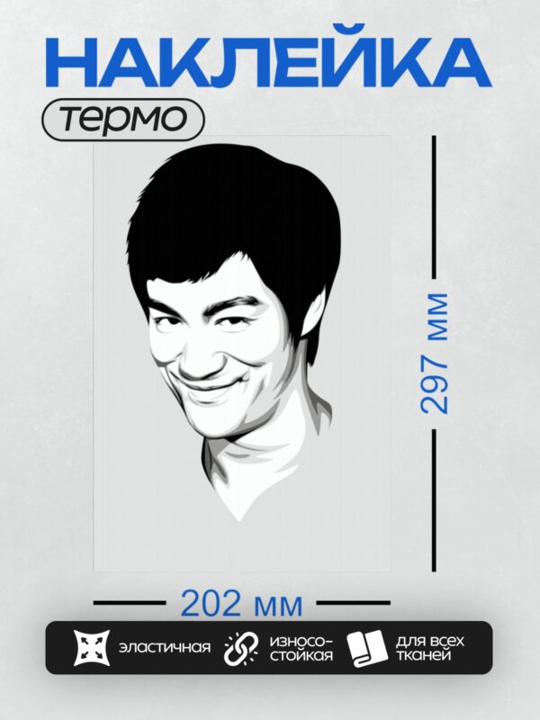 Термонаклейка на одежду DTF / Стилизованный портрет Брюса Ли в черно-белых тонах.