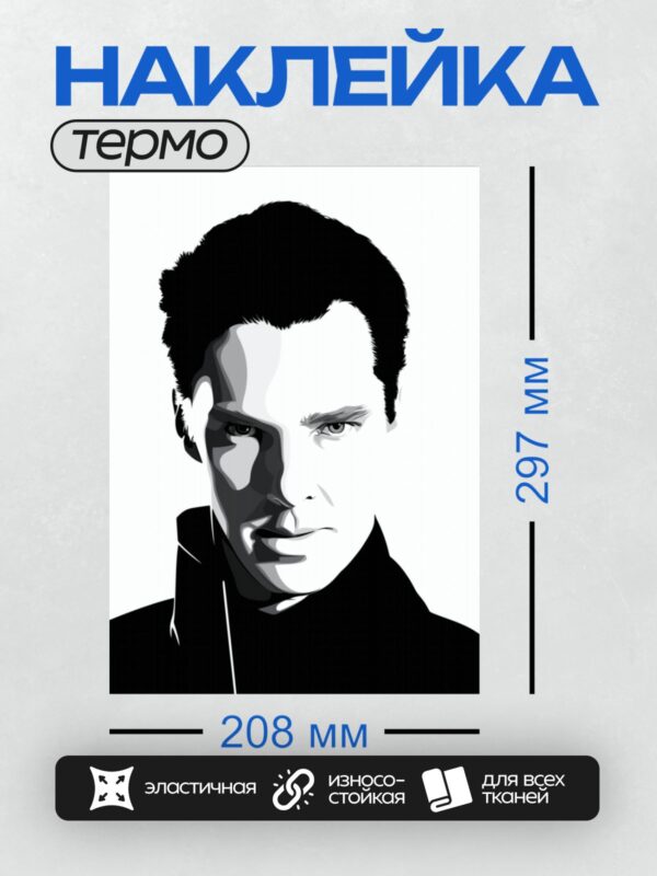Термонаклейка на одежду DTF / Векторный портрет мужчины в черно-белой гамме.