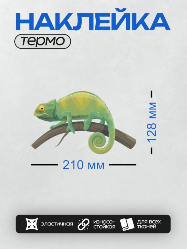 Термонаклейка на одежду DTF / Хамелеон на ветке в стиле поп-арт.