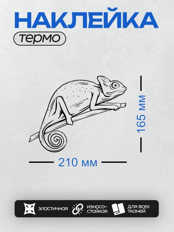 Термонаклейка на одежду DTF / Хамелеон на ветке, черно-белый рисунок.