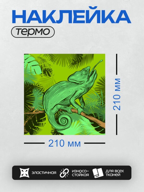 Термонаклейка на одежду DTF / Хамелеон на ветке в стиле поп-арт.