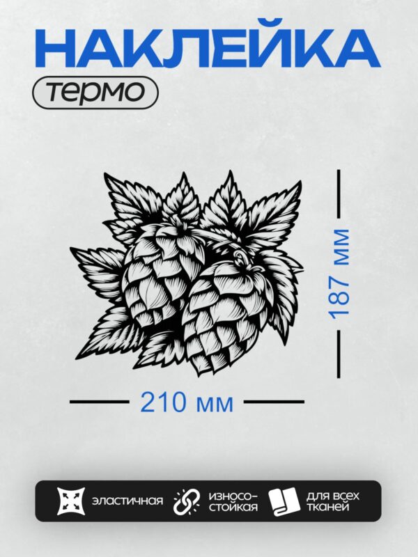 Термонаклейка на одежду DTF / Черно-белый рисунок шишек хмеля обыкновенного.
