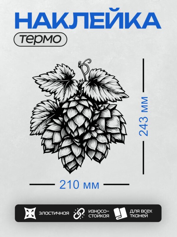 Термонаклейка на одежду DTF / Черно-белая гравюра шишек хмеля.