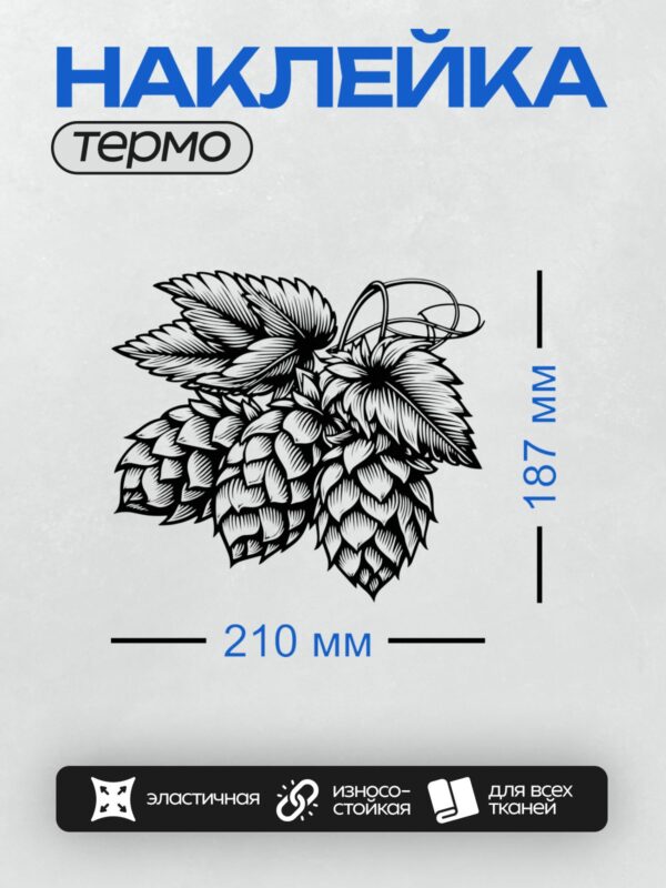Термонаклейка на одежду DTF / Соплодия хмеля обыкновенного, черно-белый рисунок.