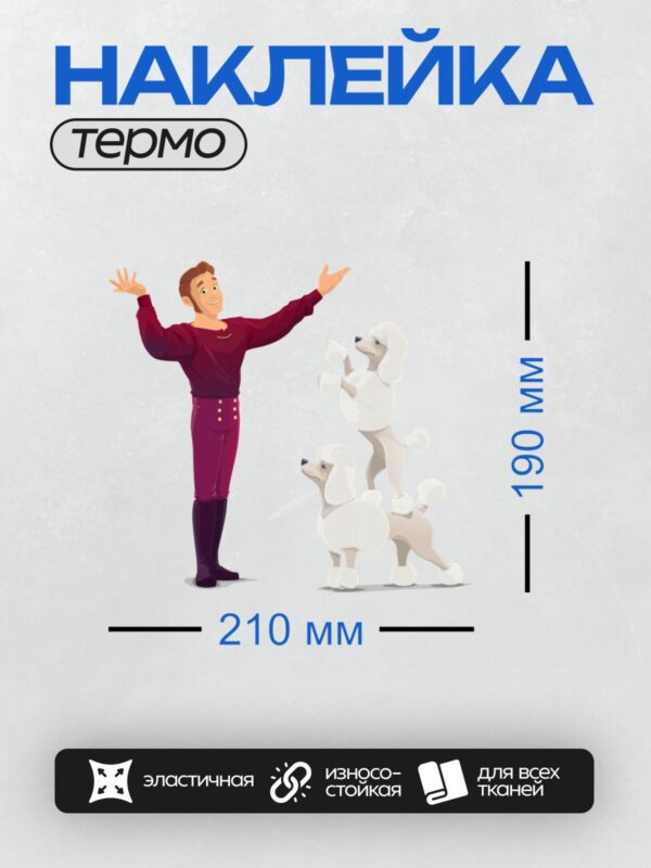 Термонаклейка на одежду DTF / Мужчина в бордовом костюме с двумя белыми пуделями.