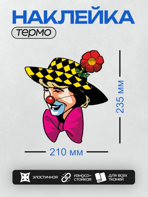Термонаклейка на одежду DTF / Клоун в шляпе с желтыми ромбами и красным цветком.