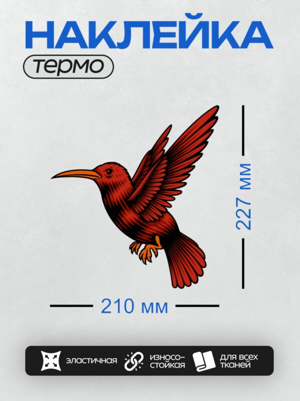 Термонаклейка на одежду DTF / Красная колибри с длинным клювом на белом фоне.