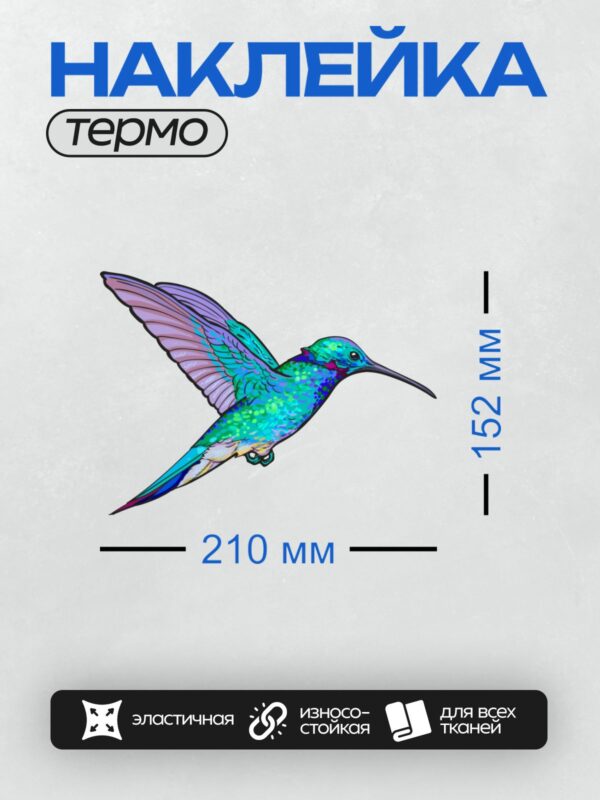 Термонаклейка на одежду DTF / Яркая колибри в полете с расправленными крыльями.