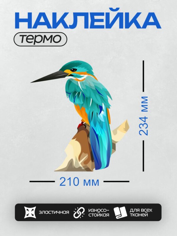 Термонаклейка на одежду DTF / Яркий зимородок с голубым оперением на ветке.