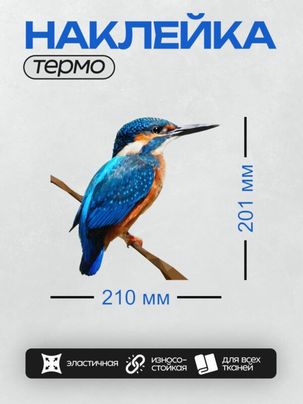 Термонаклейка на одежду DTF / Стилизованный зимородок с ярким оперением на ветке.