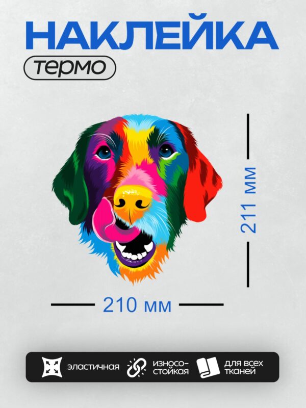 Термонаклейка на одежду DTF / Радужный пёс с яркими цветами и счастливым выражением.