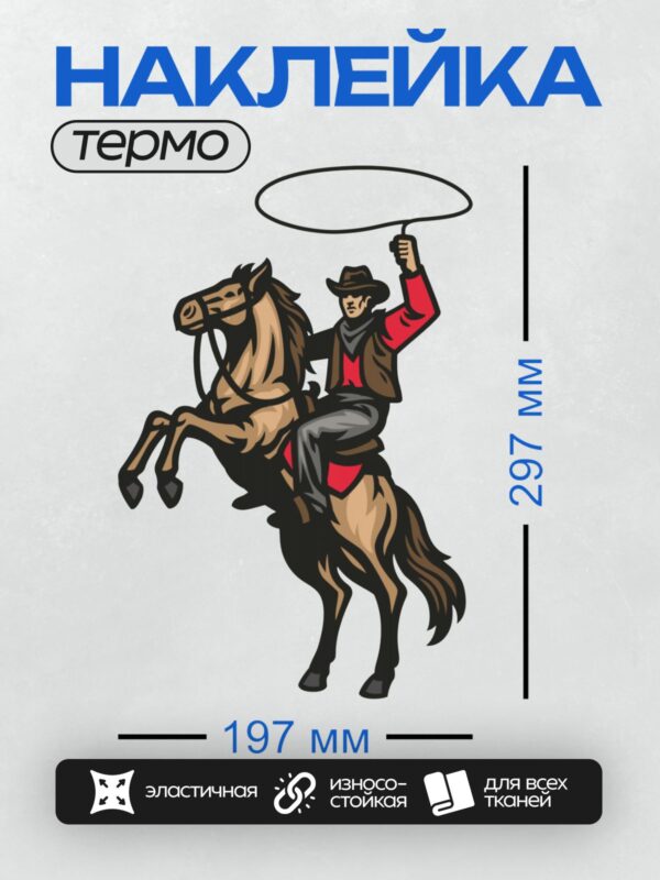 Термонаклейка на одежду DTF / Ковбой с лассо на лошади в динамичной позе.