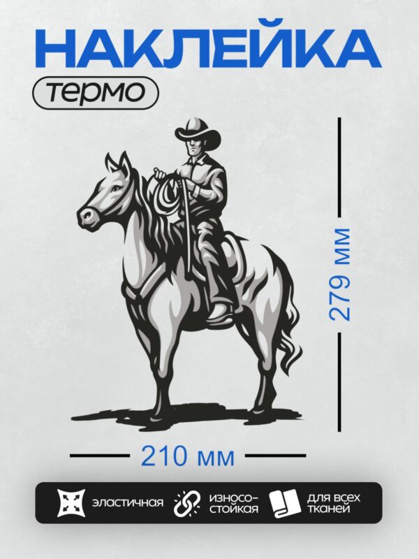 Термонаклейка на одежду DTF / Ковбой на лошади с лассо в ретро-стиле.