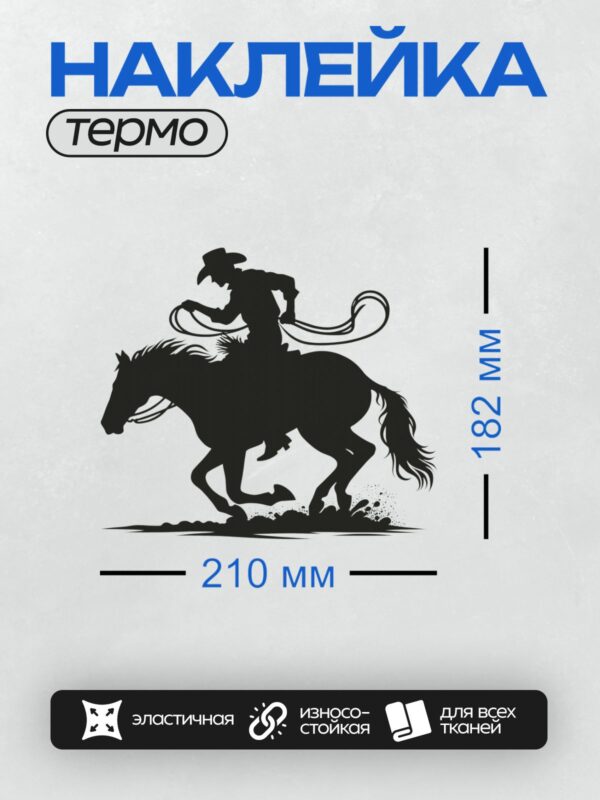 Термонаклейка на одежду DTF / Силуэт ковбоя с лассо на бегущей лошади.