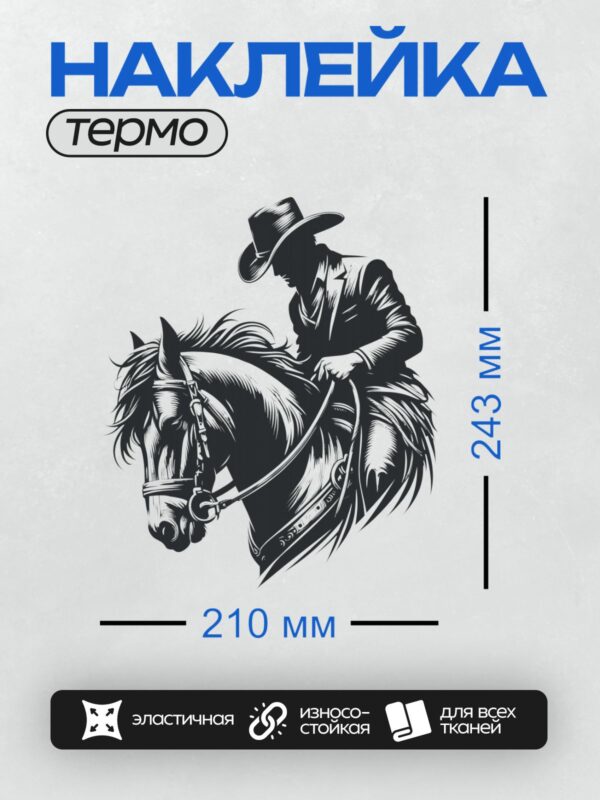 Термонаклейка на одежду DTF / Ковбой в шляпе верхом на лошади.