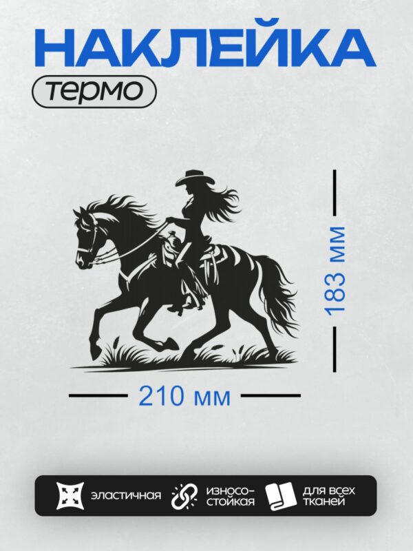 Термонаклейка на одежду DTF / Силуэт ковбоя на лошади в движении.