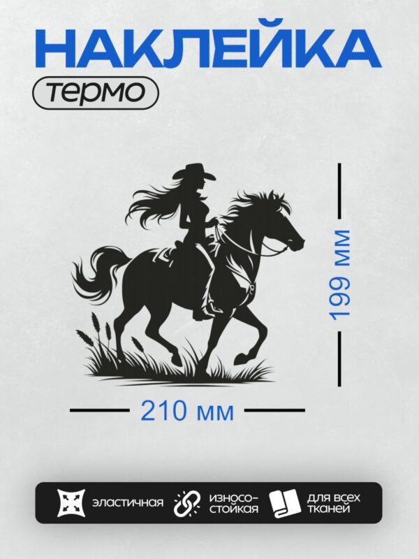Термонаклейка на одежду DTF / Силуэт девушки-ковбоя на лошади в движении.