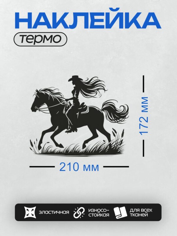 Термонаклейка на одежду DTF / Силуэт девушки-ковбоя на лошади в движении.