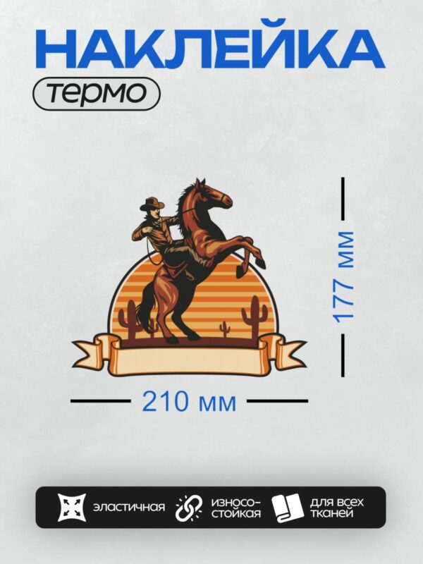 Термонаклейка на одежду DTF / Ковбой на лошади на фоне заката и кактусов.