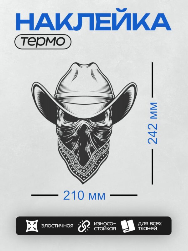 Термонаклейка на одежду DTF / Череп в ковбойской шляпе и бандане с узором.