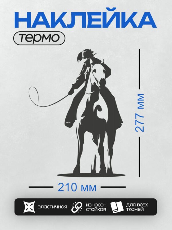 Термонаклейка на одежду DTF / Силуэт ковбоя на лошади с лассо.
