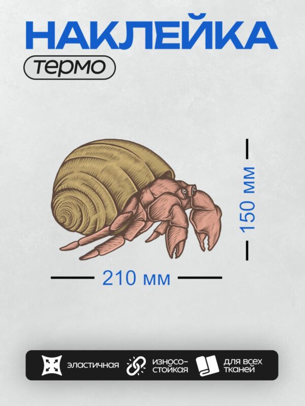 Термонаклейка на одежду DTF / Краб-отшельник в раковине, стилизованный рисунок.