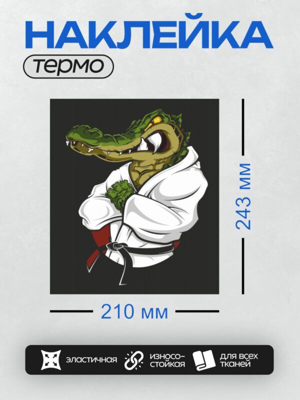 Термонаклейка на одежду DTF / Мультяшный крокодил в белом кимоно с черным поясом.