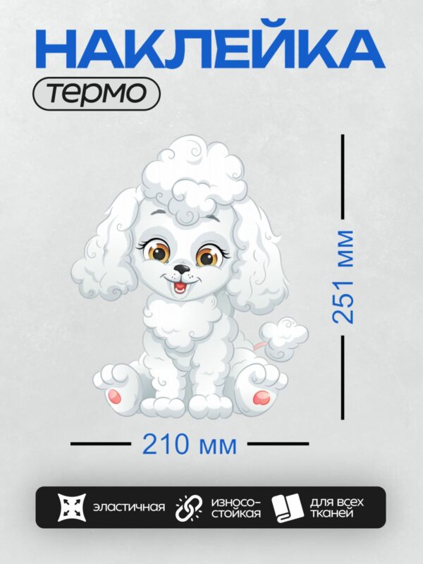 Термонаклейка на одежду DTF / Белый пудель с большими глазами и пушистой шерстью.