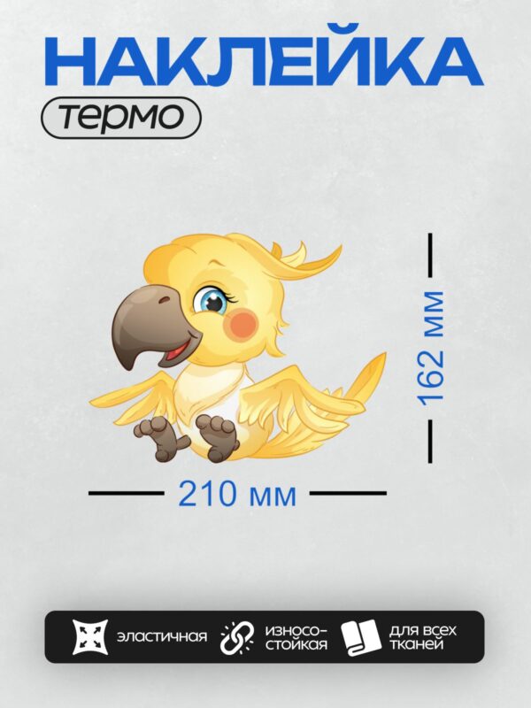 Термонаклейка на одежду DTF / Мультяшный попугай с большими глазами и ярким оперением.
