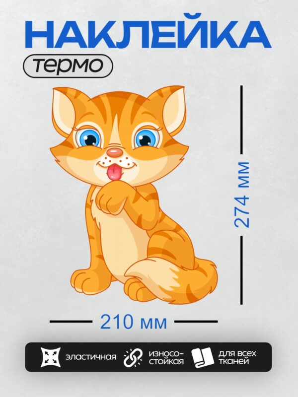 Термонаклейка на одежду DTF / Рыжий котёнок с большими голубыми глазами и розовым носиком.