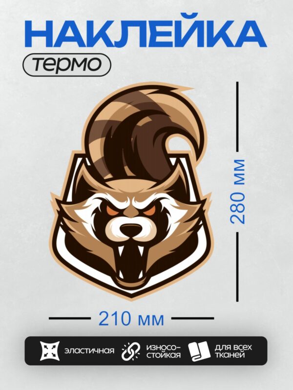 Термонаклейка на одежду DTF / Мультяшный енот с яркими глазами и полосатым хвостом.