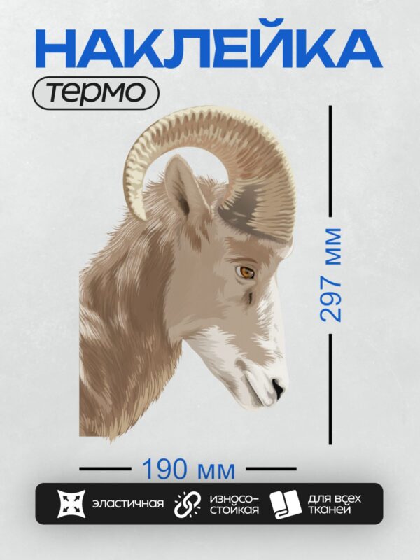 Термонаклейка на одежду DTF / Голова горного барана аргали с большими рогами.