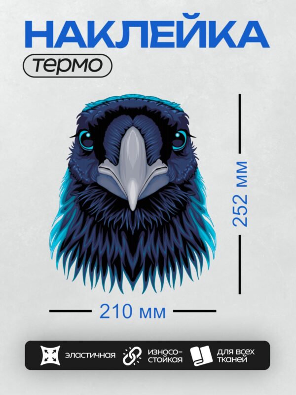 Термонаклейка на одежду DTF / Мультяшная ворона с яркими голубыми глазами.