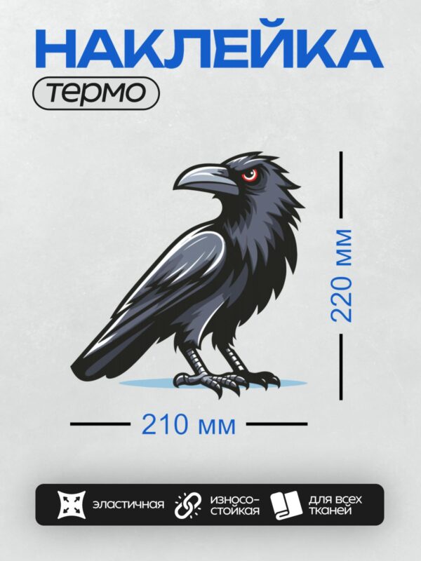 Термонаклейка на одежду DTF / Мультяшная ворона с ярким красным глазом.
