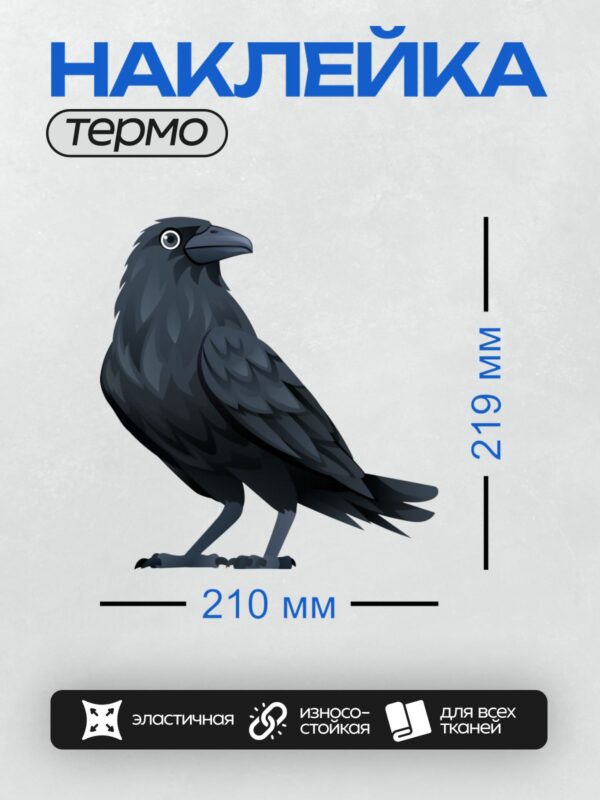 Термонаклейка на одежду DTF / Мультяшная ворона с большими глазами и черным оперением.