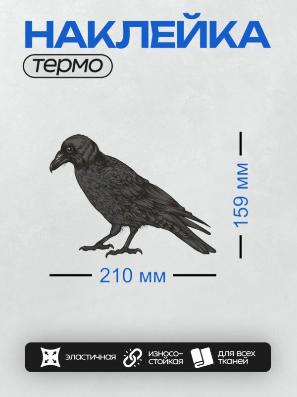 Термонаклейка на одежду DTF / Иллюстрация ворона в профиль, детализированное оперение.