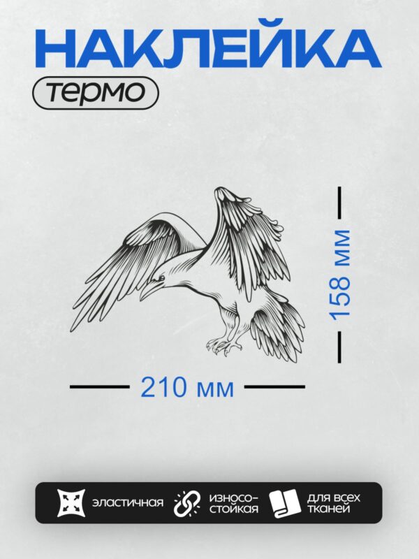 Термонаклейка на одежду DTF / Эскиз ворона в полёте с детализированными крыльями.