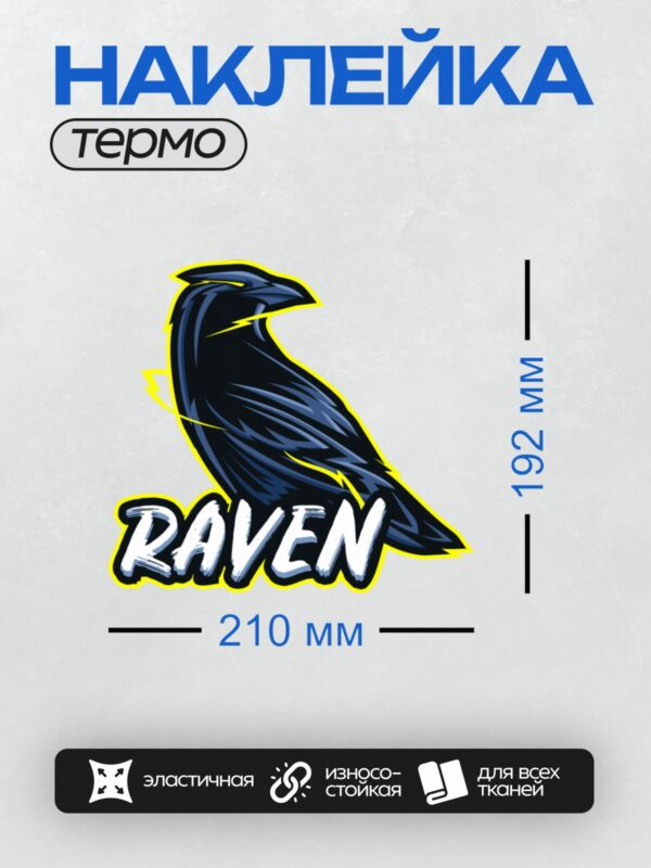 Термонаклейка на одежду DTF / Логотип с вороном и надписью "RAVEN" в стиле граффити.