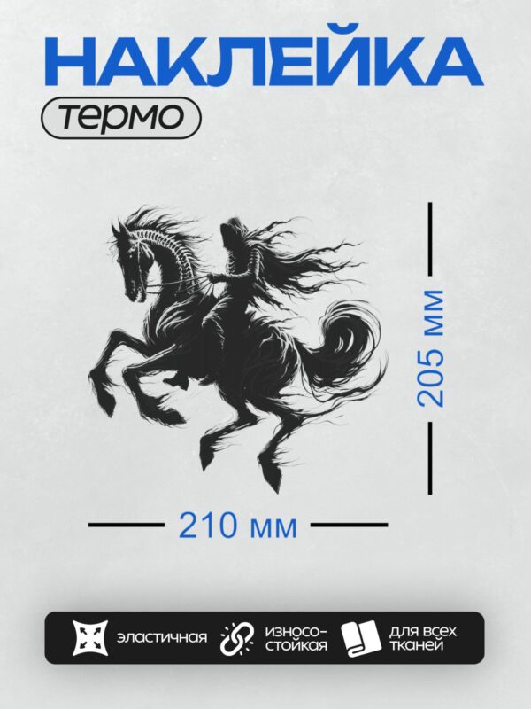 Термонаклейка на одежду DTF / Мрачный жнец на черном коне в движении.